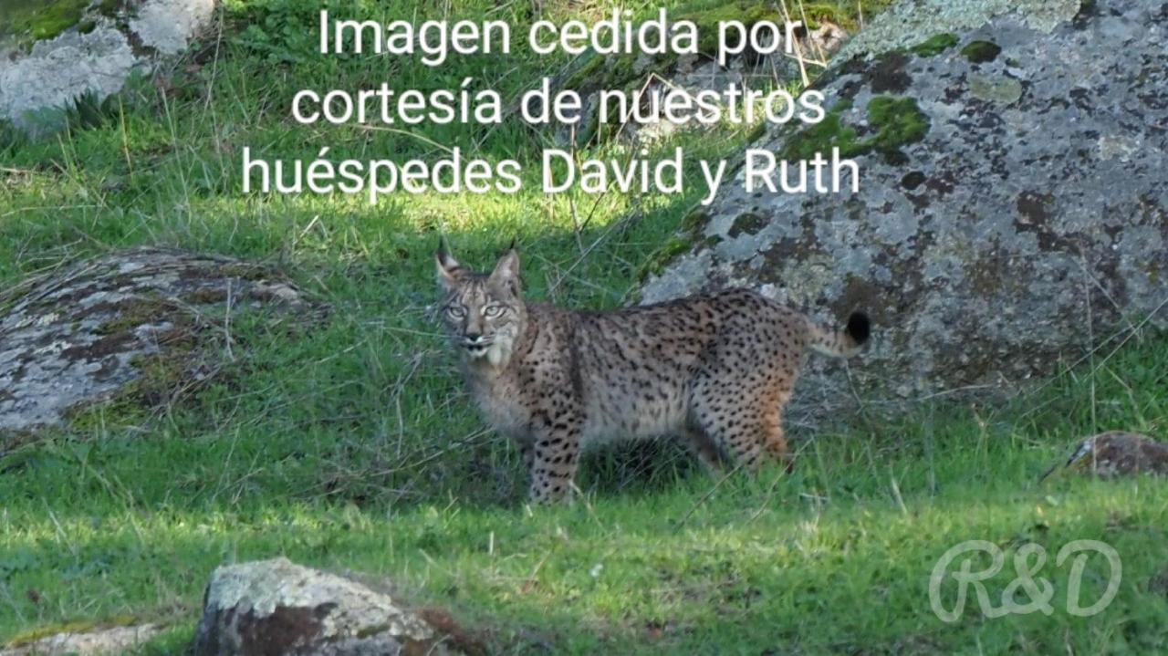 La Isabelita Villa Andújar Екстериор снимка
